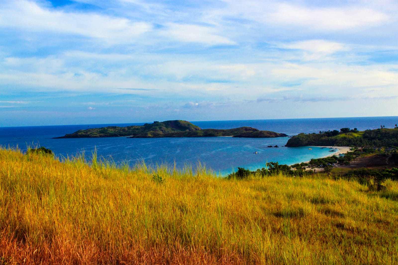 Golden grass on a hilltop above a deep blue bay, with a low green island offshore and a white-sand beach curving along the shore to the right.