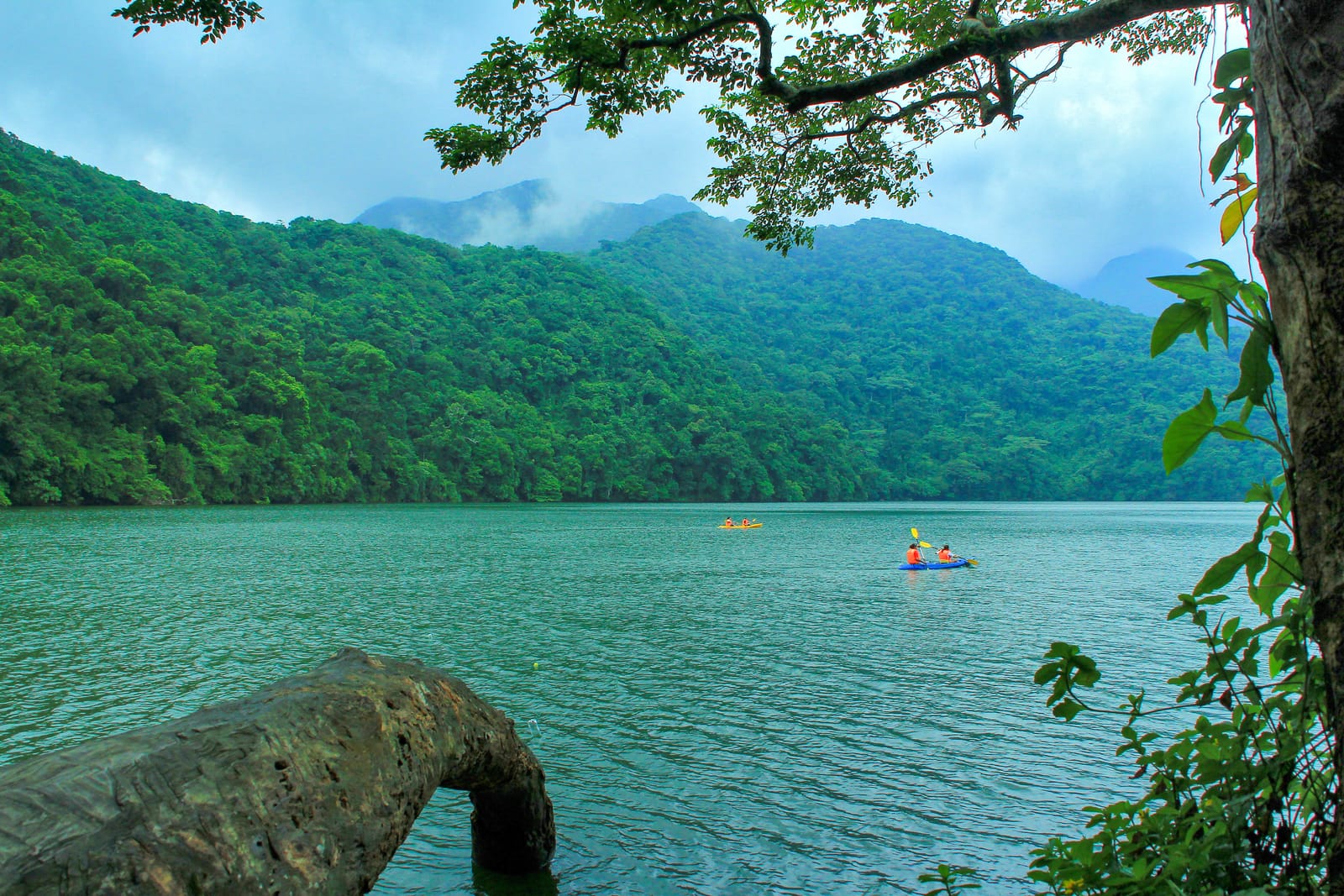 A green lake ringed by steep forested slopes under low cloud, with two small kayaks on the water and a branch and a mossy log in the foreground.
