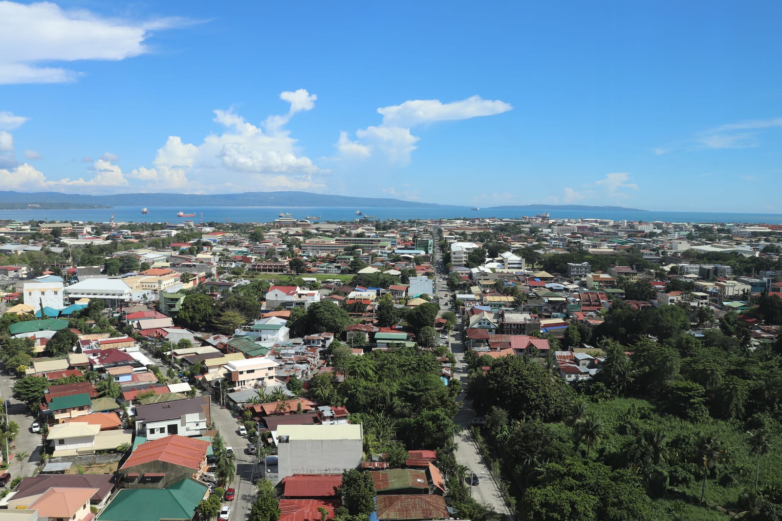 Rooftops and trees of a wide city running down to a blue gulf, with a long low island across the water under a blue sky.