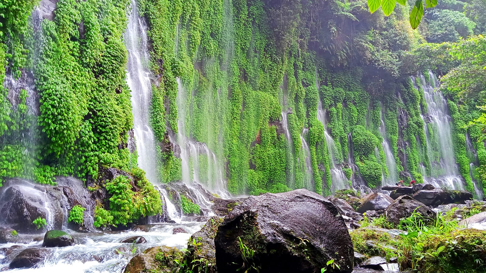 Dozens of thin waterfalls streaming down a curved cliff thickly hung with green vines, onto dark boulders and a rushing white stream.