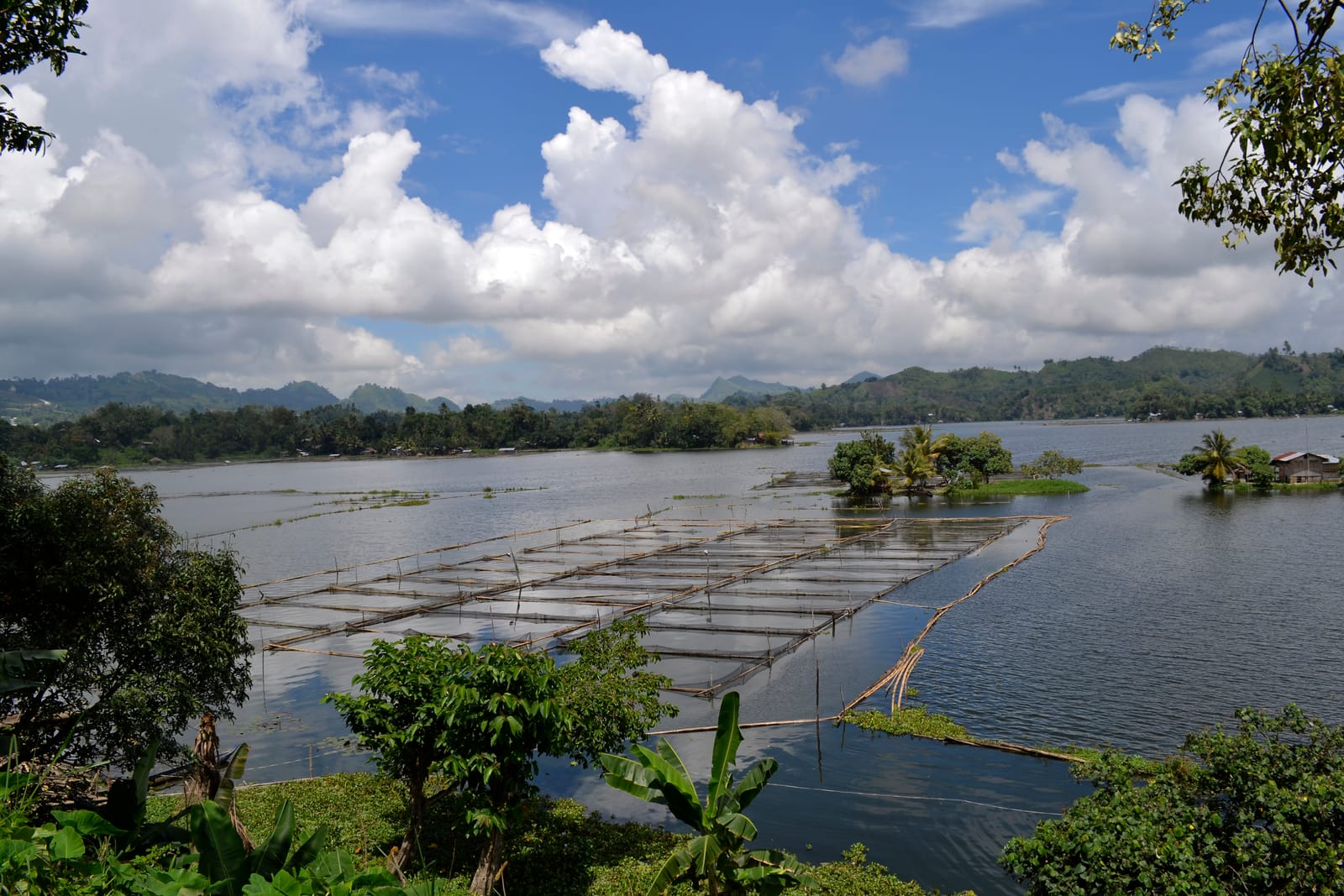 A calm lake dotted with bamboo fish pens and small wooded islets, ringed by green hills under white clouds.