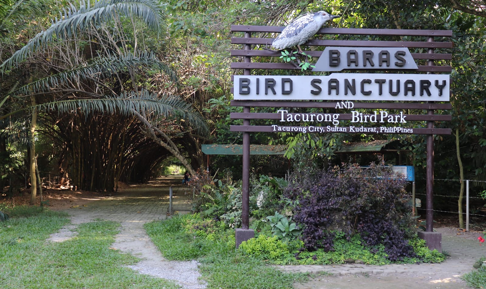 A wooden sign with a carved heron reading “Baras Bird Sanctuary and Tacurong Bird Park”, beside a path that leads into a tunnel of arching bamboo, among palms and purple-leaved shrubs.