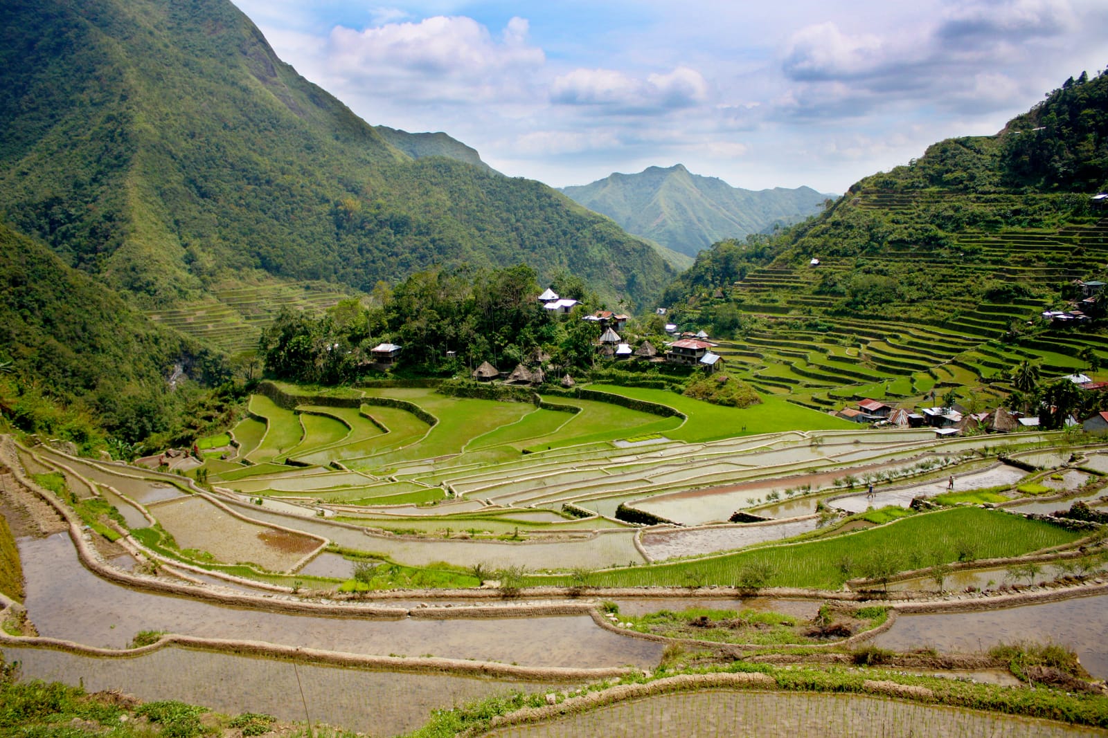Curving stone-walled rice terraces, some flooded and some green, climbing a steep amphitheatre of mountains around a village of thatched houses.