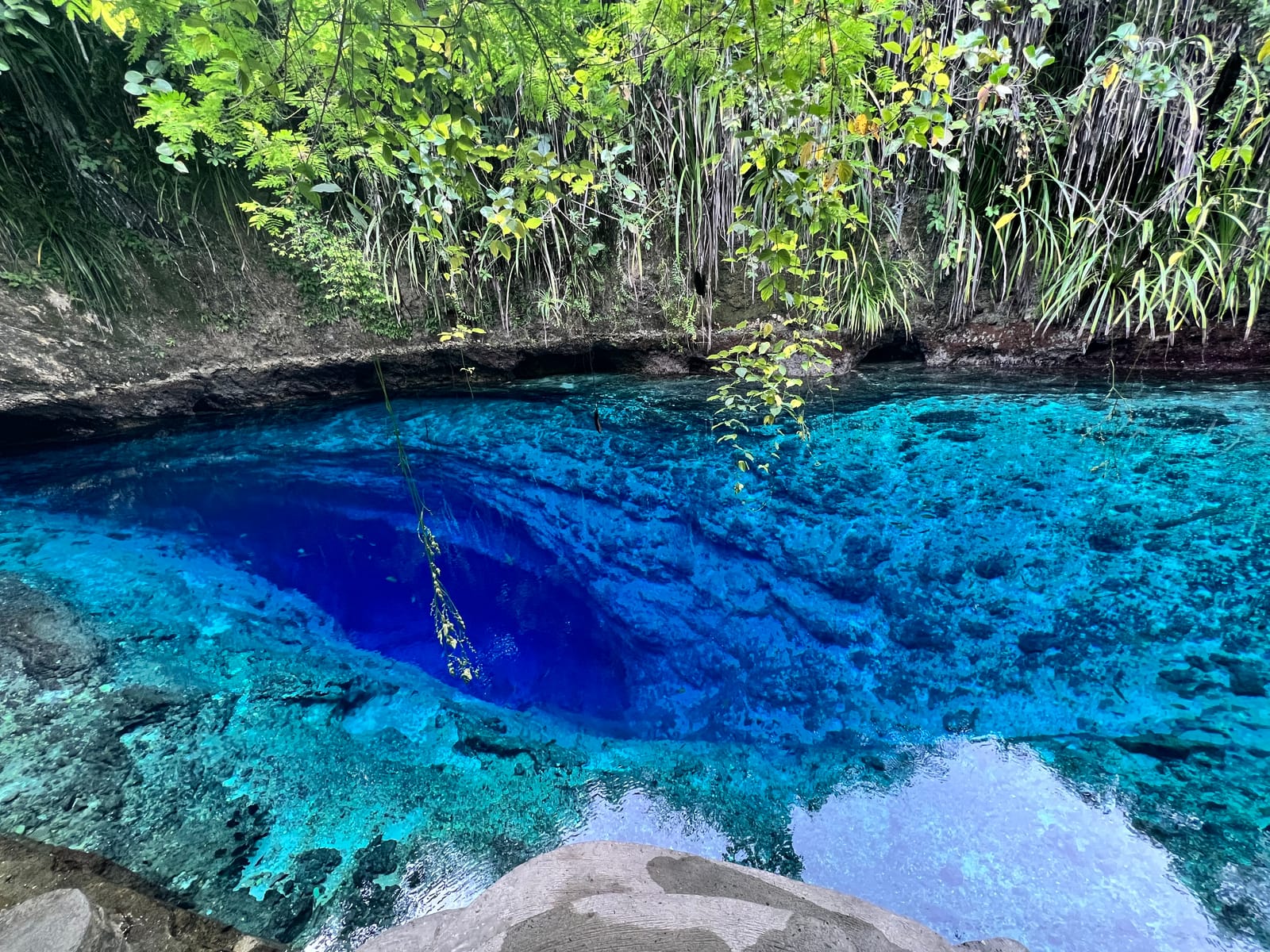 A clear river pool glowing deep blue and turquoise over pale rock, under overhanging green vines and leaves.