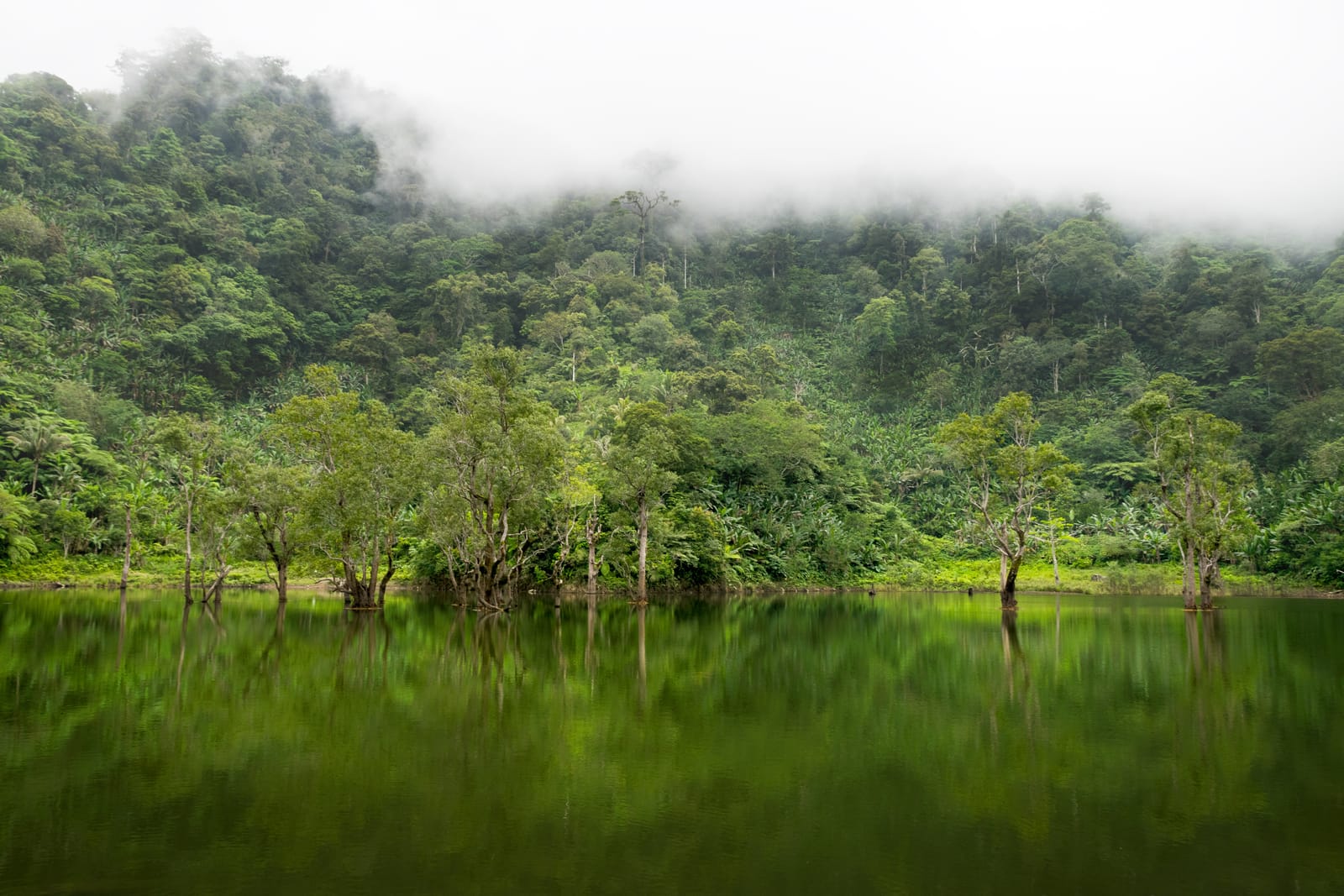 A still green lake mirroring trees that stand at its edge, below steep forested slopes with low cloud drifting over them.