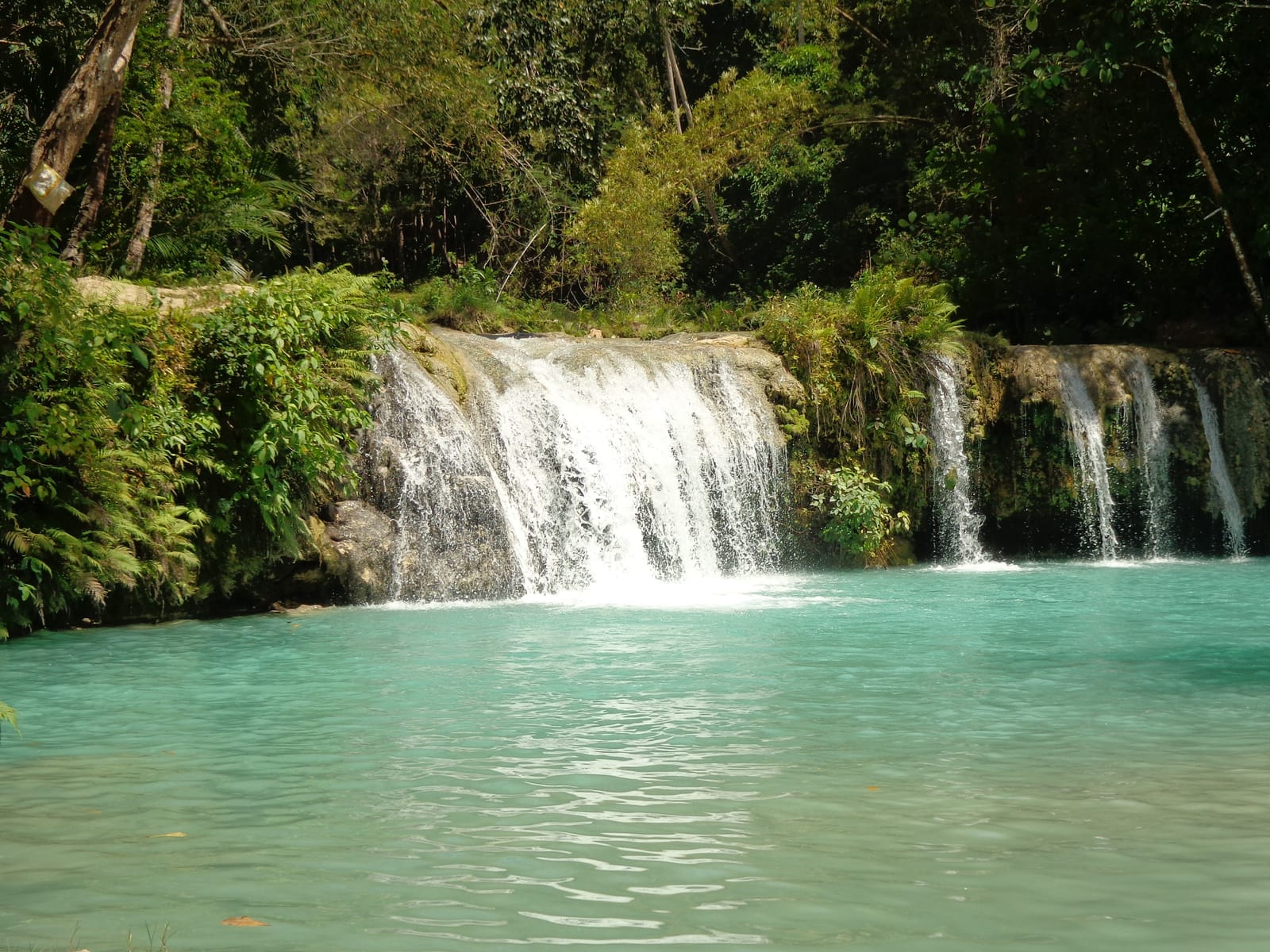 A broad waterfall spilling over a mossy rock ledge into a still turquoise pool, with thinner falls streaming beside it, under green forest.