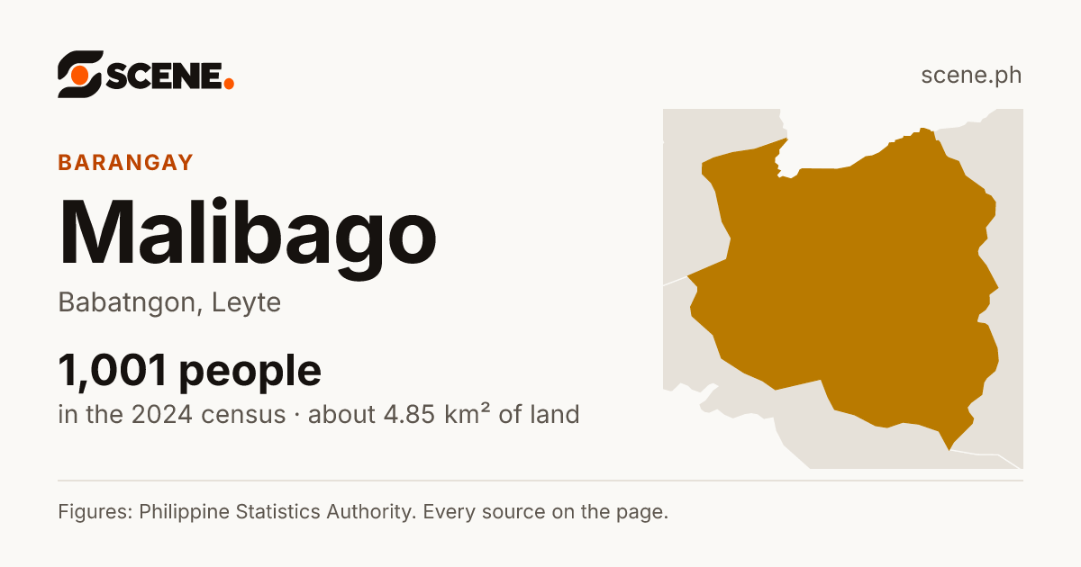 Malibago, Babatngon, barangay: 1,001 people in the 2024 census