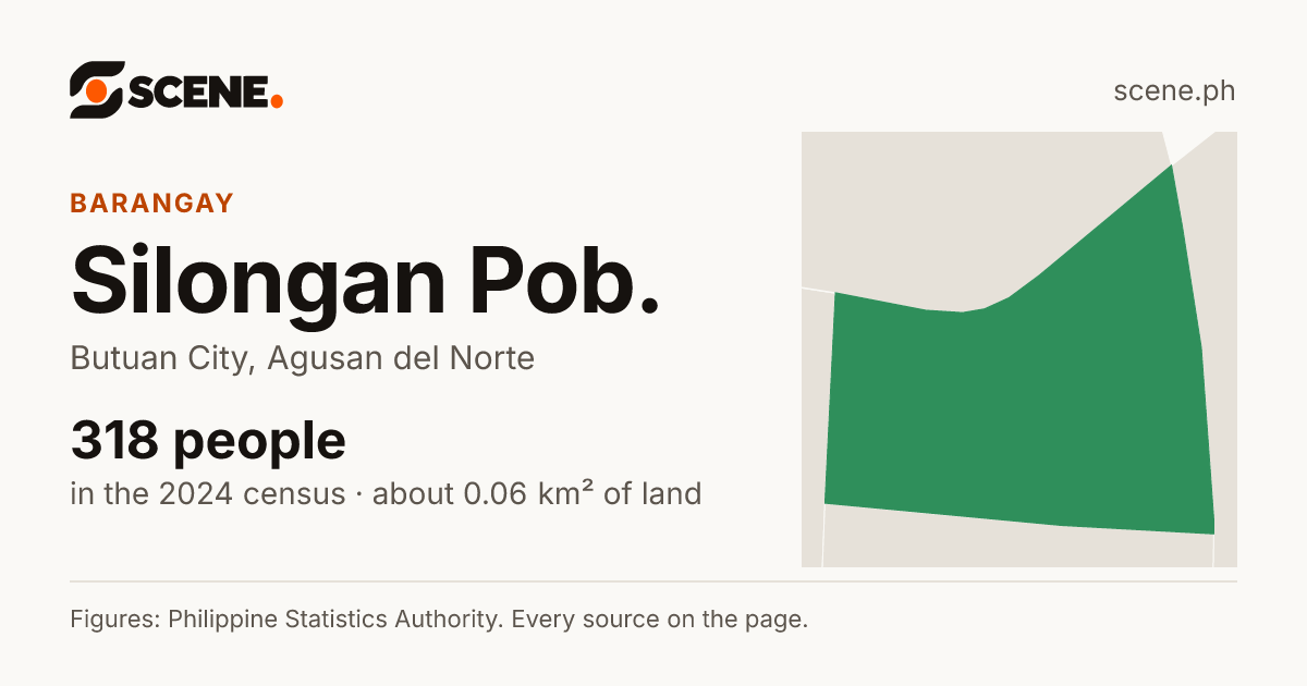 Silongan Pob., Butuan City, barangay: 318 people in the 2024 census