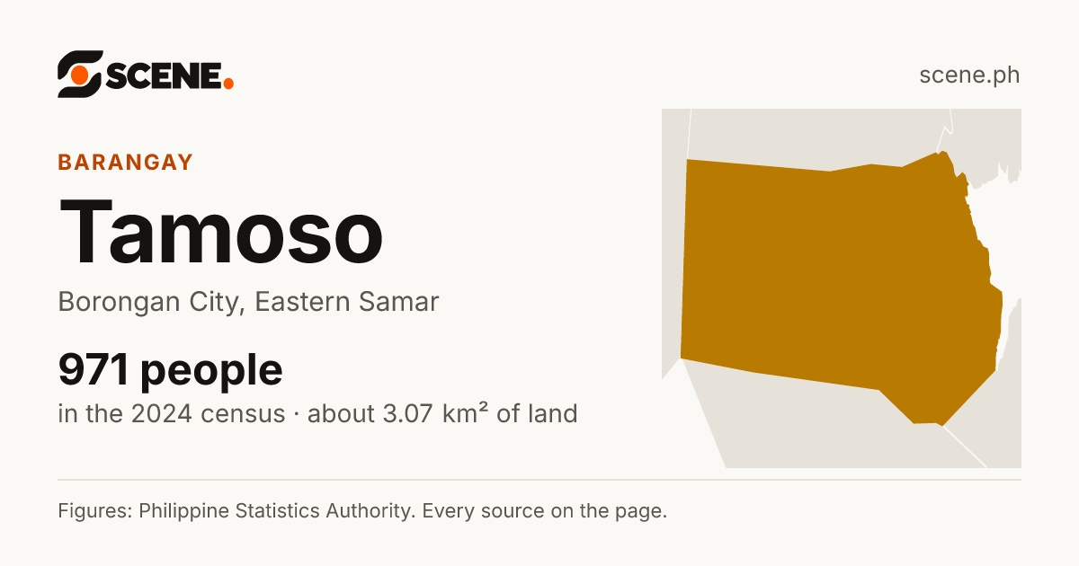 Tamoso, Borongan City, barangay: 971 people in the 2024 census