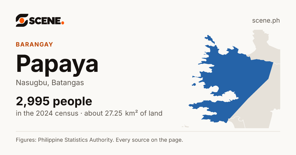 Papaya, Nasugbu, barangay: 2,995 people in the 2024 census