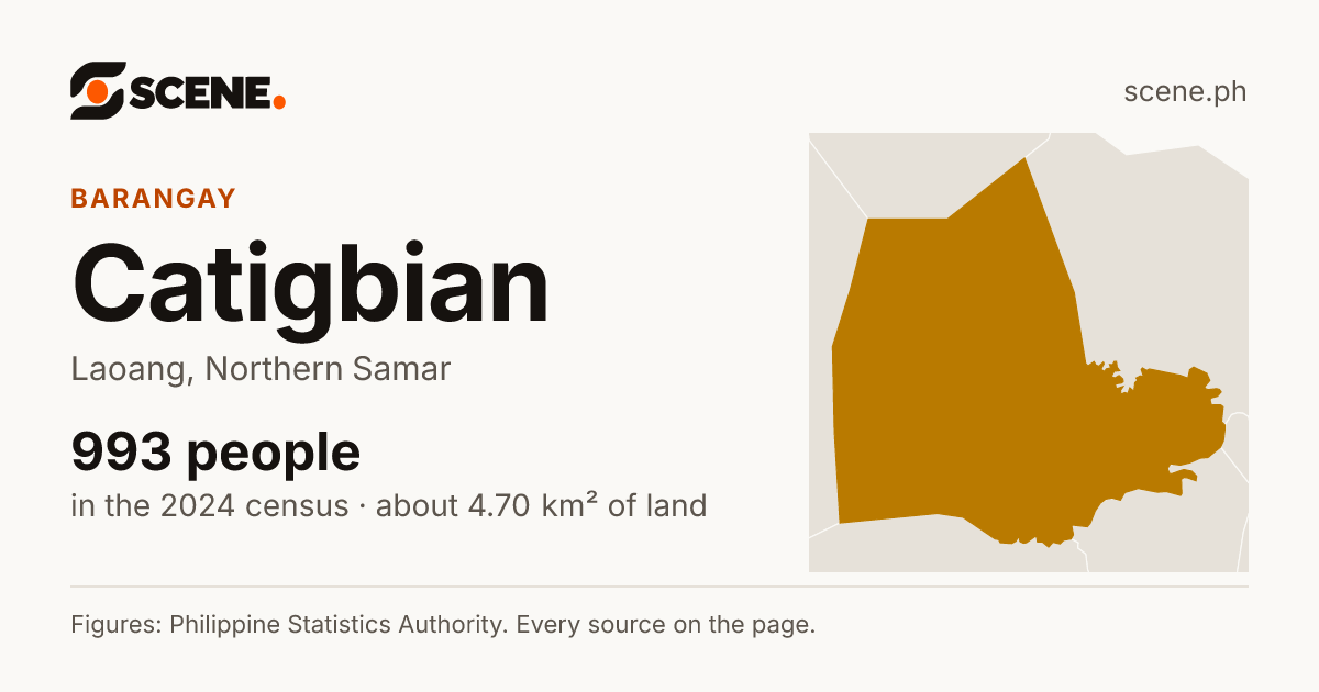 Catigbian, Laoang, barangay: 993 people in the 2024 census