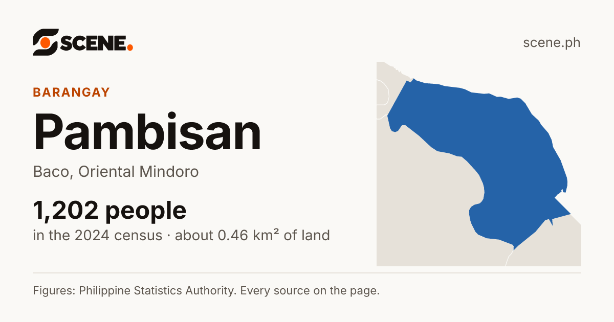 Pambisan, Baco, barangay: 1,202 people in the 2024 census