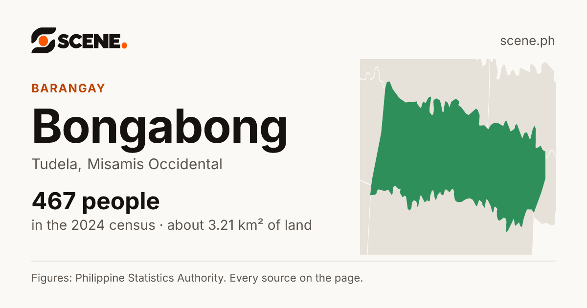 Bongabong, Tudela, barangay: 467 people in the 2024 census