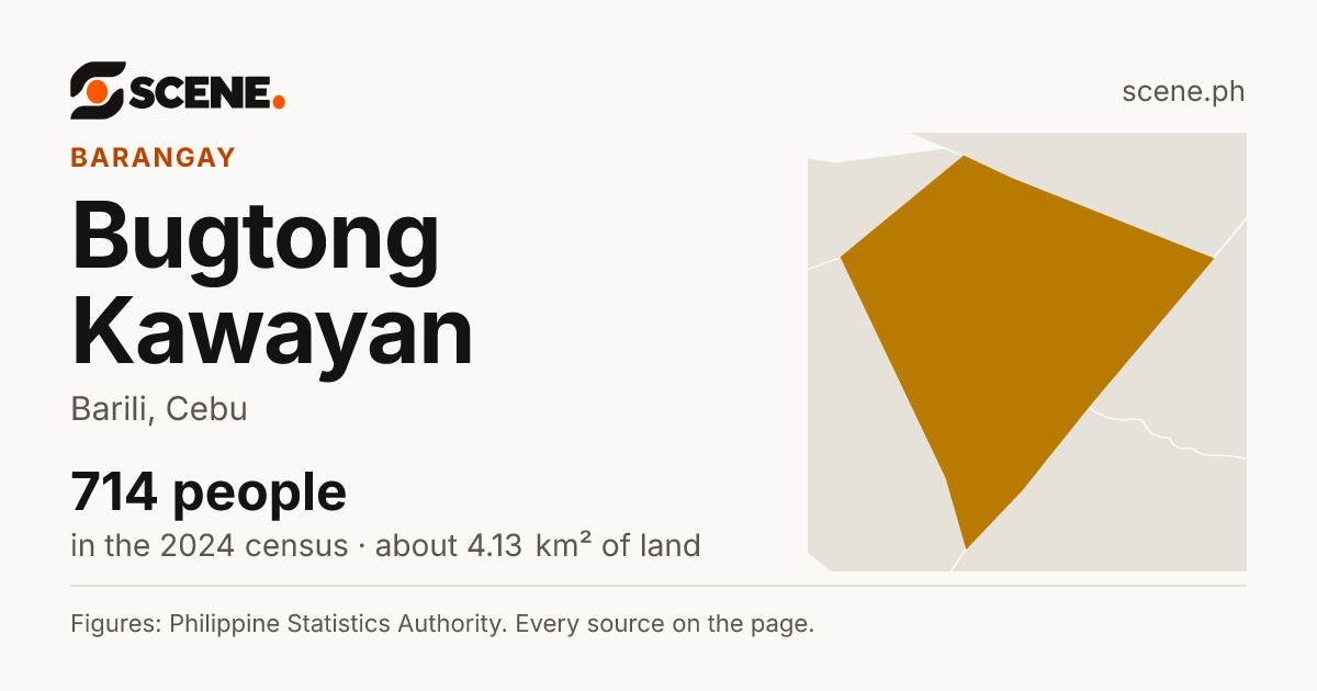 Bugtong Kawayan, Barili, barangay: 714 people in the 2024 census