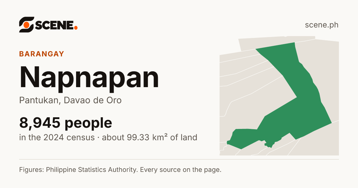 Napnapan, Pantukan, barangay: 8,945 people in the 2024 census