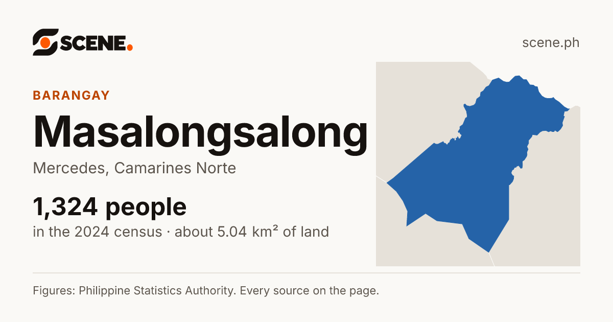Masalongsalong, Mercedes, barangay: 1,324 people in the 2024 census