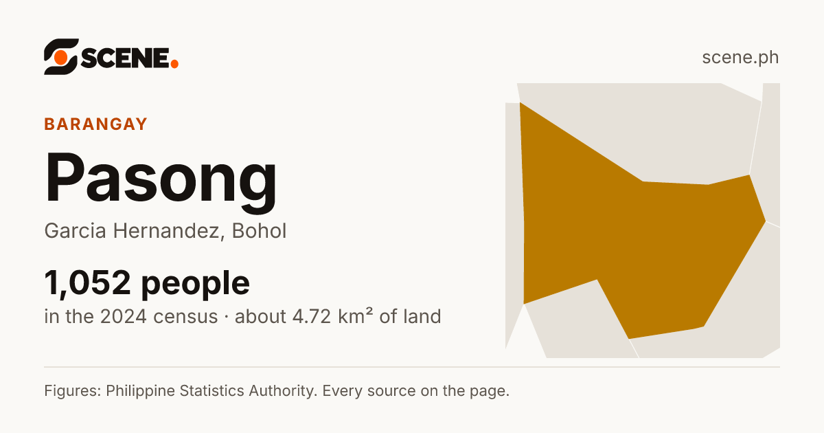 Pasong, Garcia Hernandez, barangay: 1,052 people in the 2024 census
