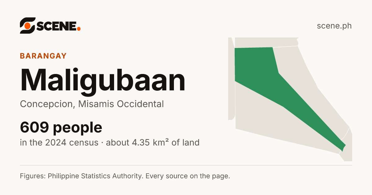Maligubaan, Concepcion, barangay: 609 people in the 2024 census