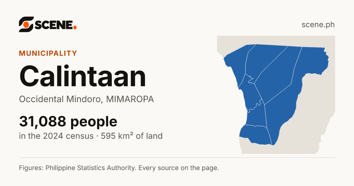 Calintaan, Occidental Mindoro, municipality: 31,088 people in the 2024 census