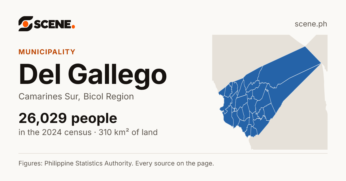 Del Gallego, Camarines Sur, municipality: 26,029 people in the 2024 census