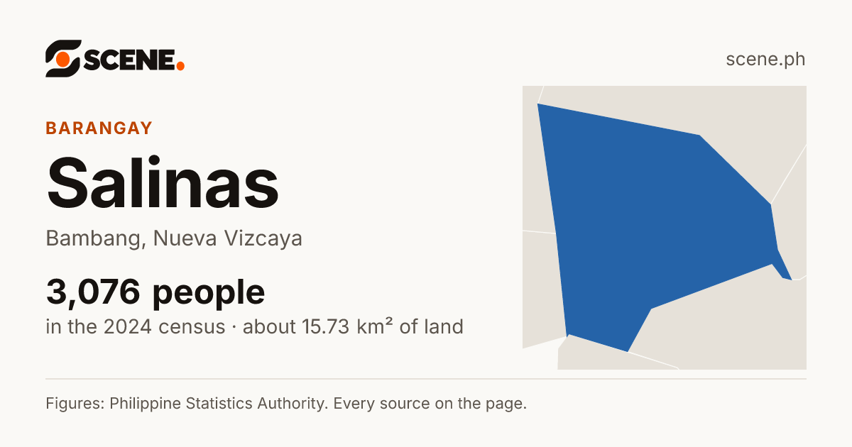 Salinas, Bambang, barangay: 3,076 people in the 2024 census