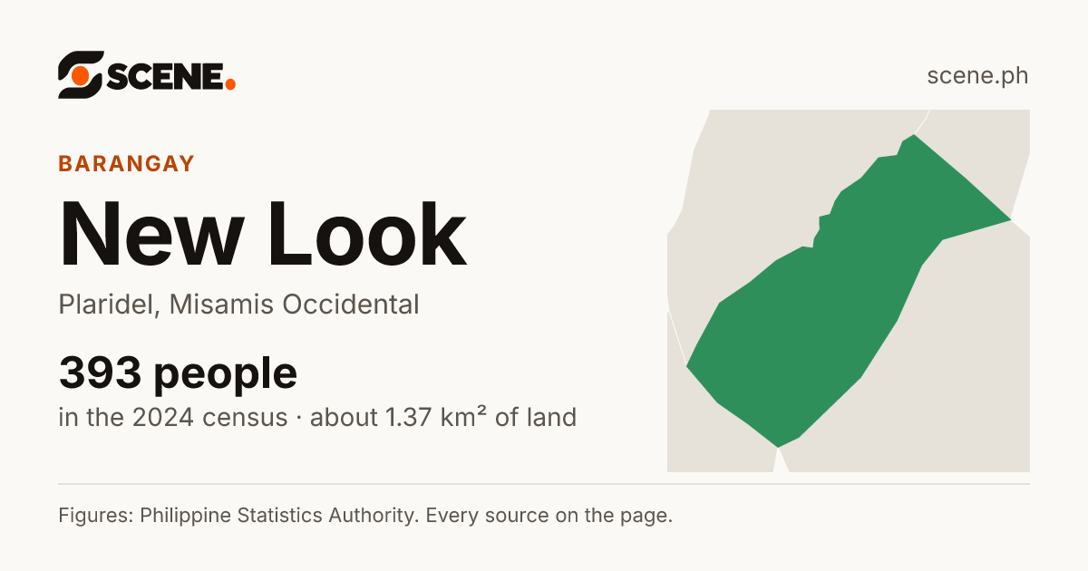 New Look, Plaridel, barangay: 393 people in the 2024 census