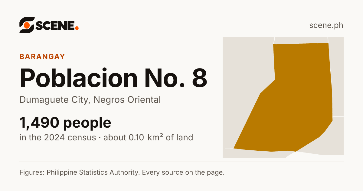 Poblacion No. 8, Dumaguete City, barangay: 1,490 people in the 2024 census
