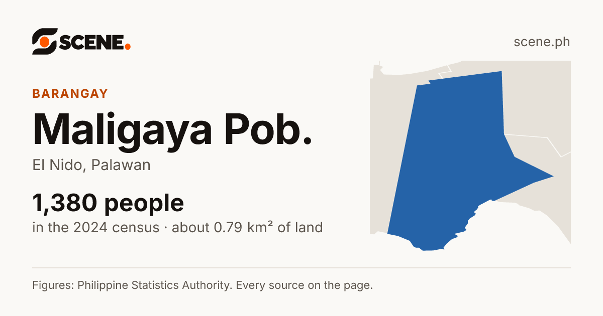Maligaya Pob., El Nido, barangay: 1,380 people in the 2024 census