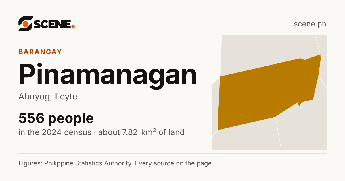 Pinamanagan, Abuyog, barangay: 556 people in the 2024 census