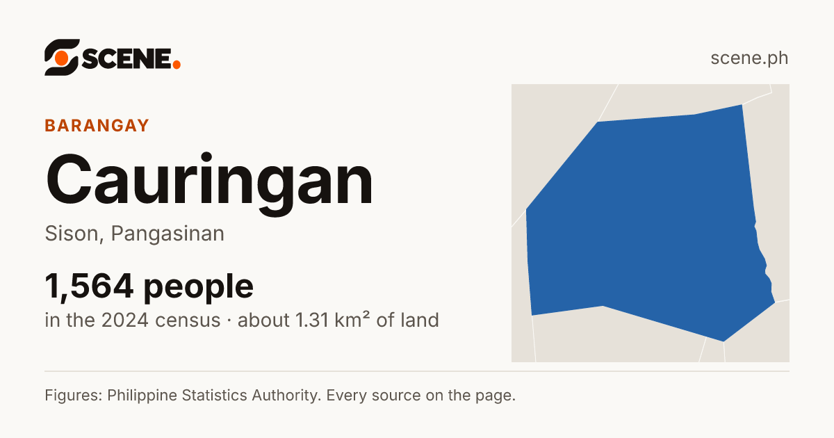 Cauringan, Sison, barangay: 1,564 people in the 2024 census