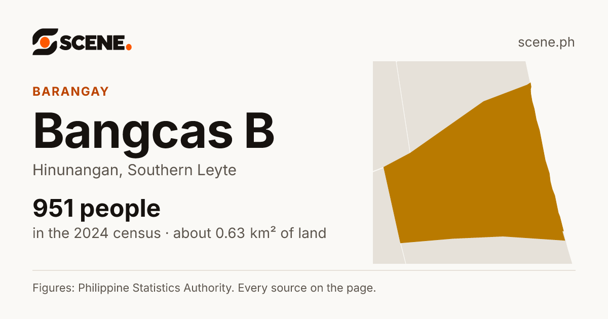 Bangcas B, Hinunangan, barangay: 951 people in the 2024 census