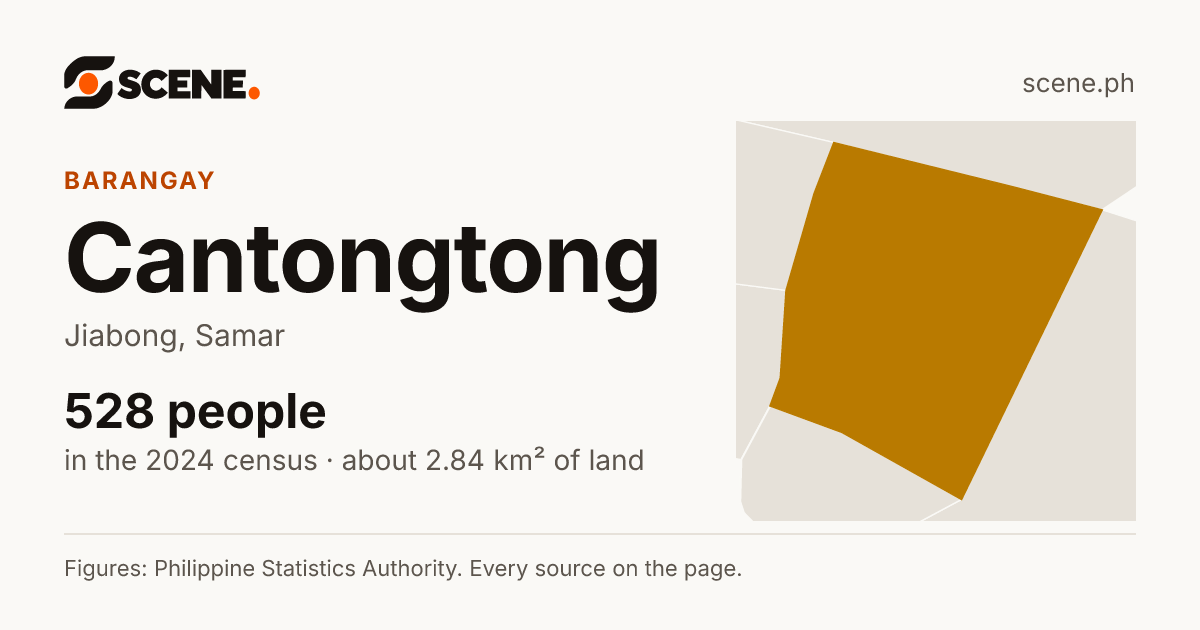 Cantongtong, Jiabong, barangay: 528 people in the 2024 census