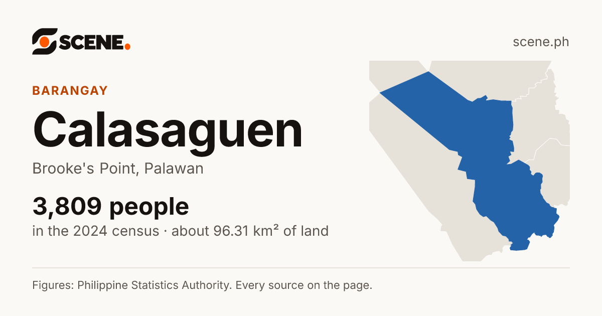 Calasaguen, Brooke's Point, barangay: 3,809 people in the 2024 census