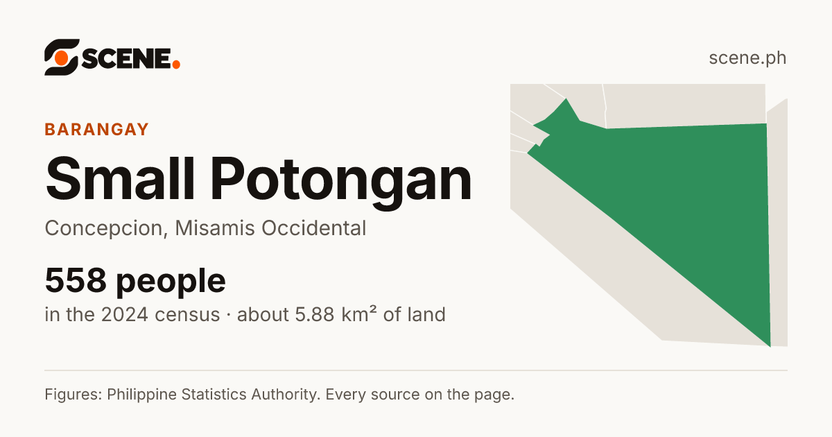 Small Potongan, Concepcion, barangay: 558 people in the 2024 census