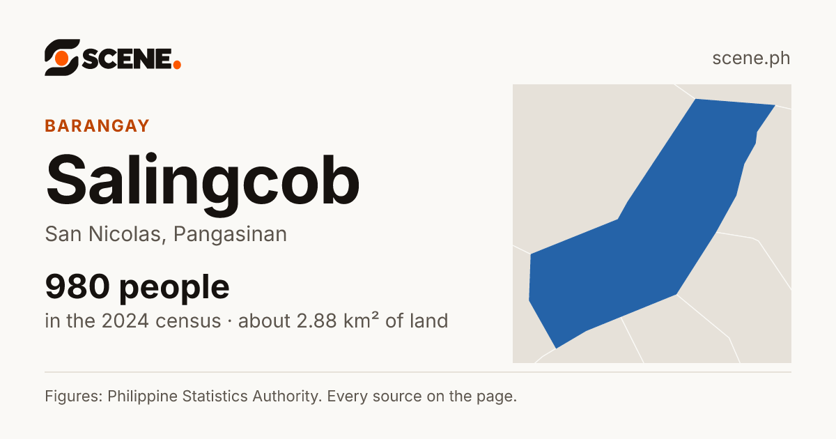 Salingcob, San Nicolas, barangay: 980 people in the 2024 census