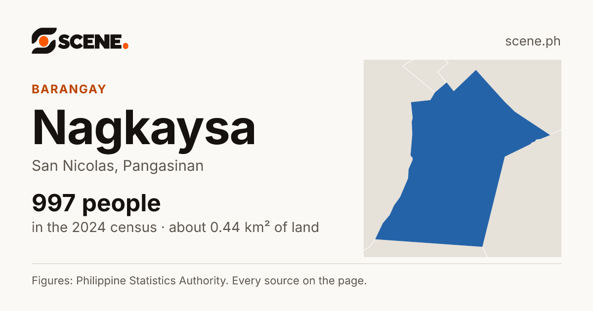 Nagkaysa, San Nicolas, barangay: 997 people in the 2024 census