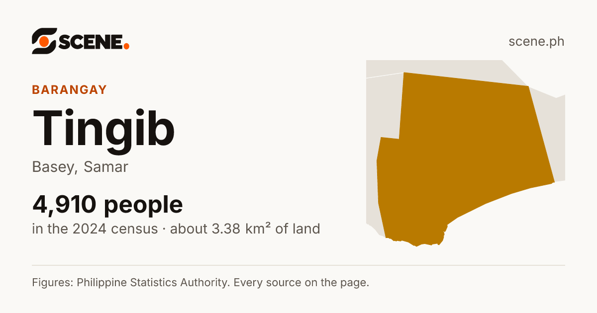 Tingib, Basey, barangay: 4,910 people in the 2024 census