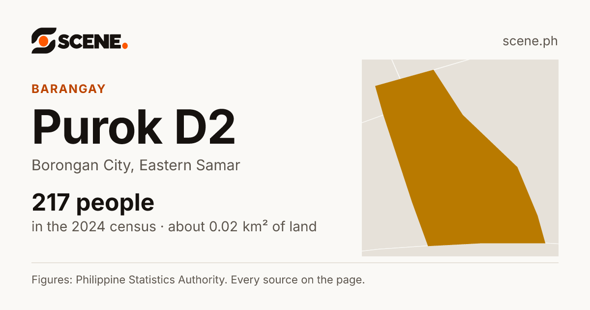 Purok D2, Borongan City, barangay: 217 people in the 2024 census