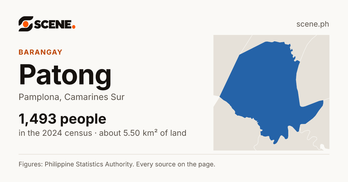 Patong, Pamplona, barangay: 1,493 people in the 2024 census