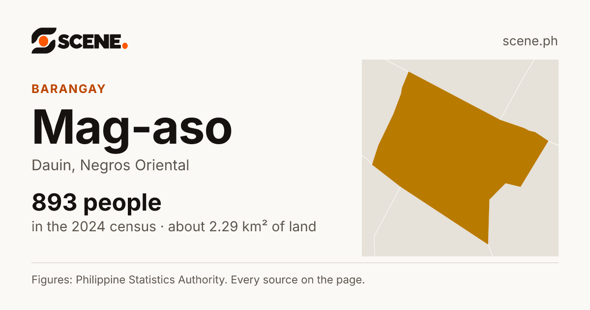 Mag-aso, Dauin, barangay: 893 people in the 2024 census