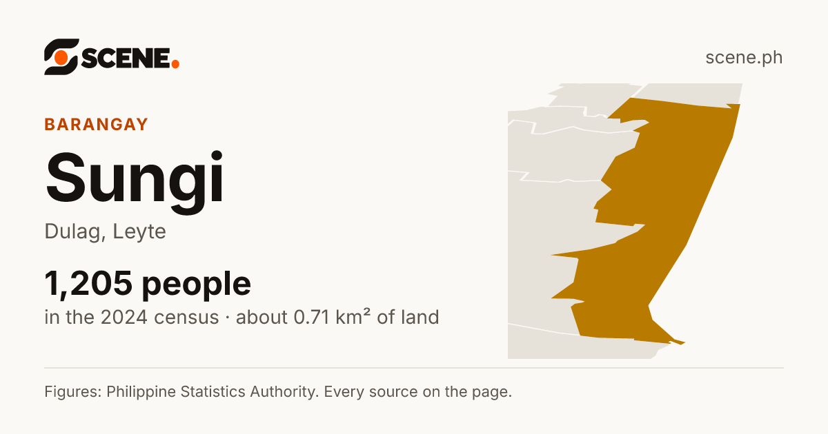 Sungi, Dulag, barangay: 1,205 people in the 2024 census
