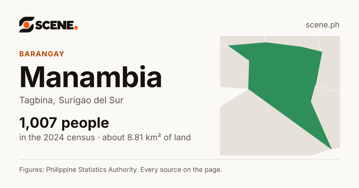 Manambia, Tagbina, barangay: 1,007 people in the 2024 census