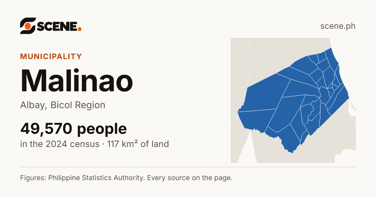 Malinao, Albay, municipality: 49,570 people in the 2024 census