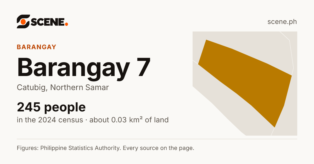 Barangay 7, Catubig, barangay: 245 people in the 2024 census