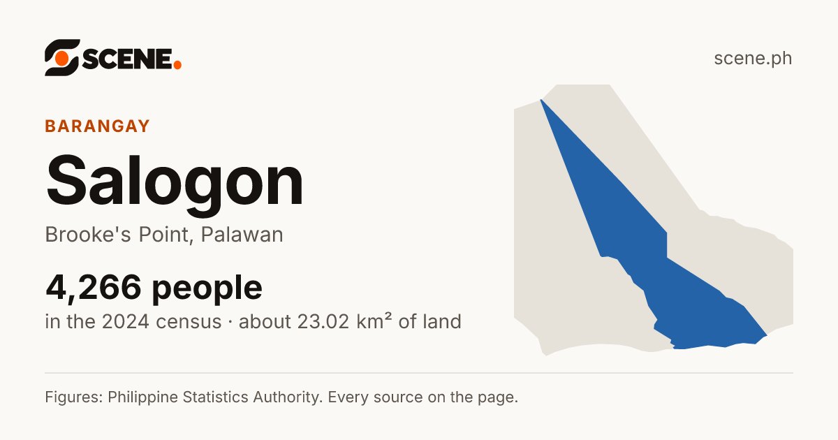 Salogon, Brooke's Point, barangay: 4,266 people in the 2024 census