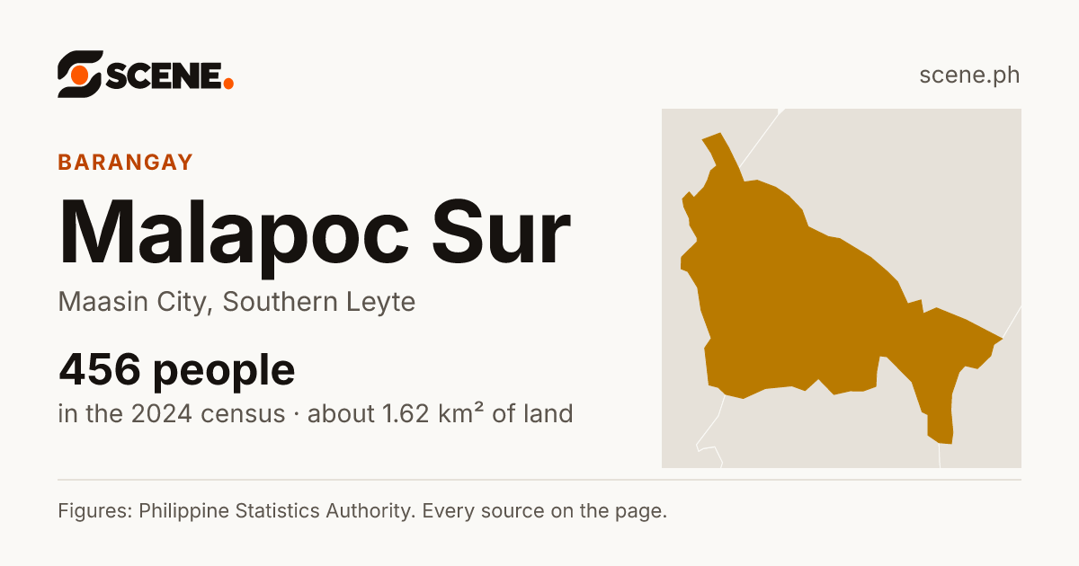 Malapoc Sur, Maasin City, barangay: 456 people in the 2024 census