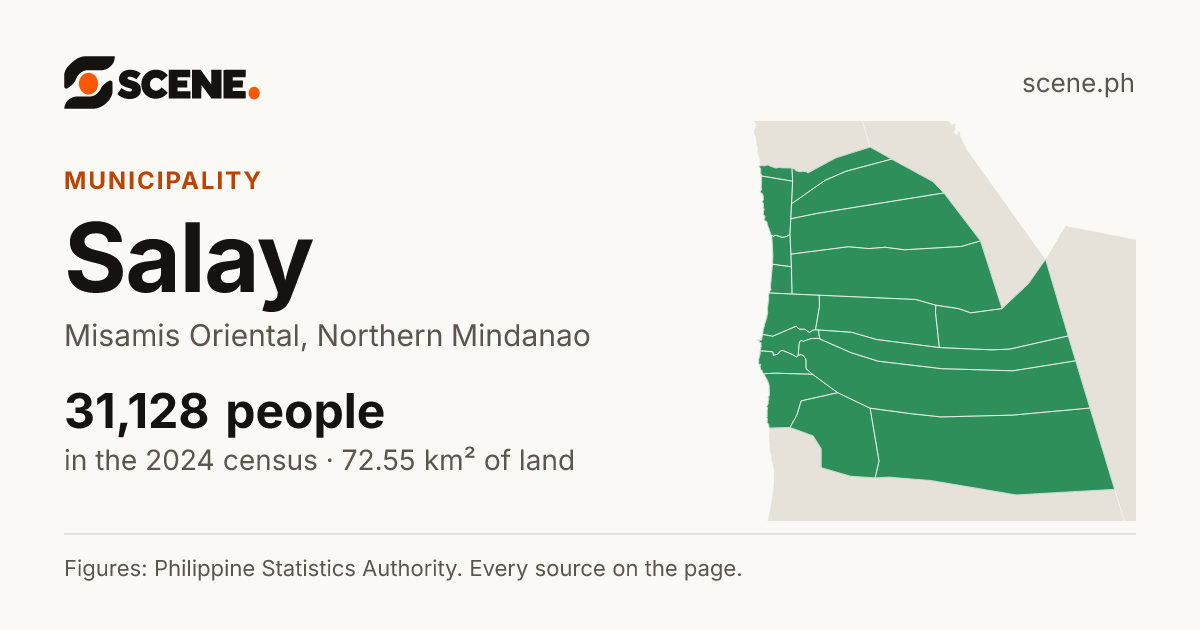 Salay, Misamis Oriental, municipality: 31,128 people in the 2024 census