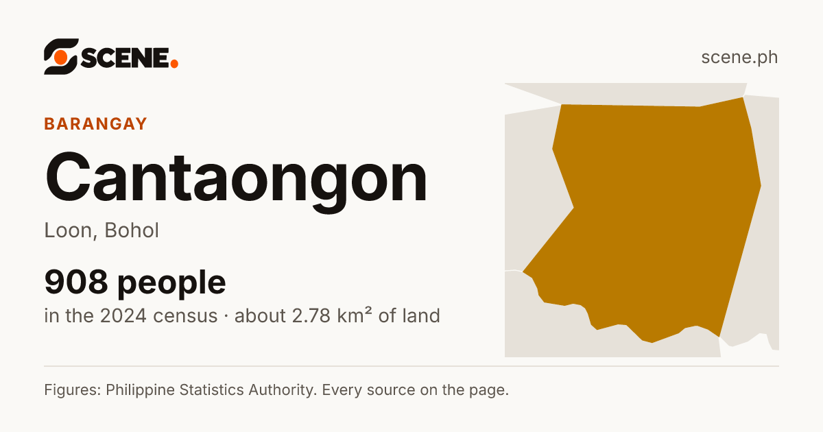 Cantaongon, Loon, barangay: 908 people in the 2024 census