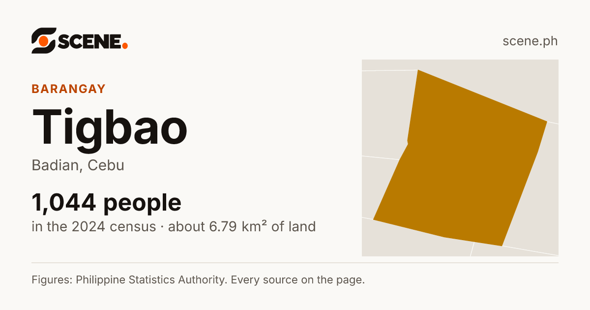 Tigbao, Badian, barangay: 1,044 people in the 2024 census