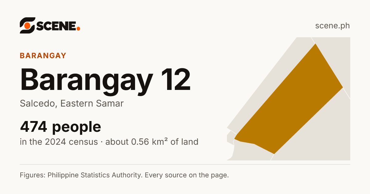 Barangay 12, Salcedo, barangay: 474 people in the 2024 census